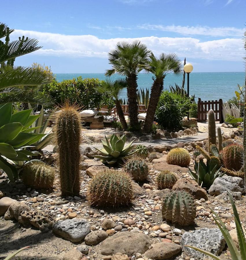 Апартаменти Giardino Sul Mare Реальмонте Екстер'єр фото